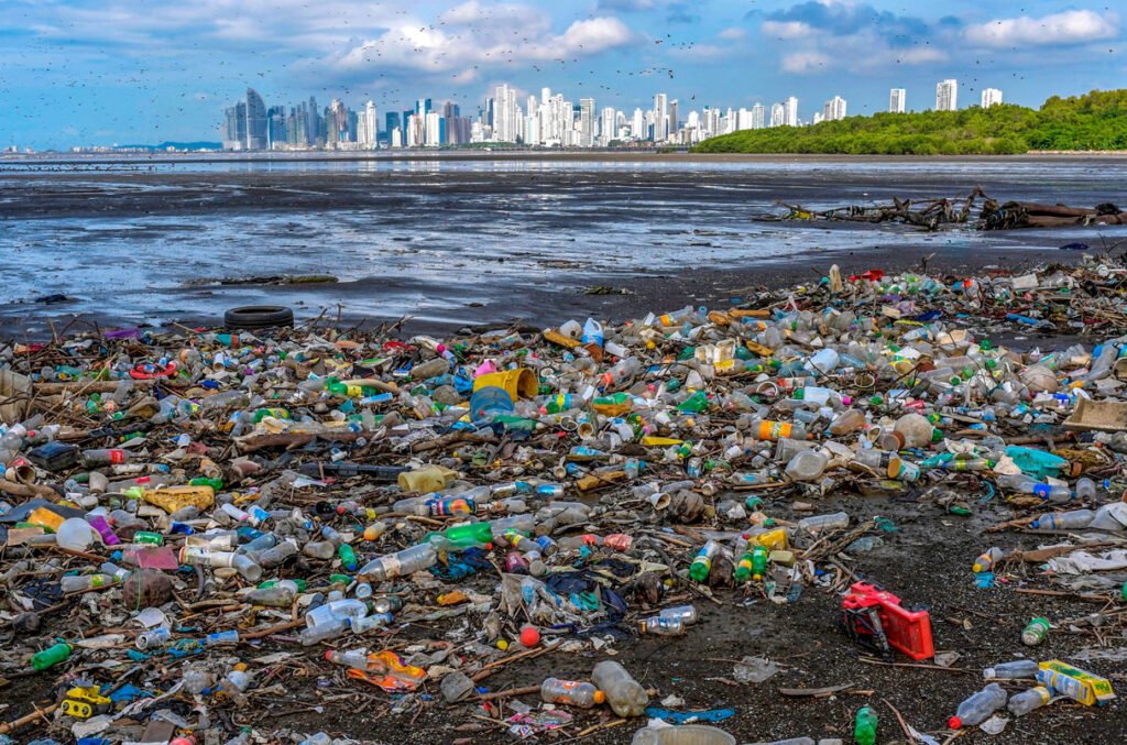 سر كوكاكولا المظلم 9 20220225 nid plastic pollution